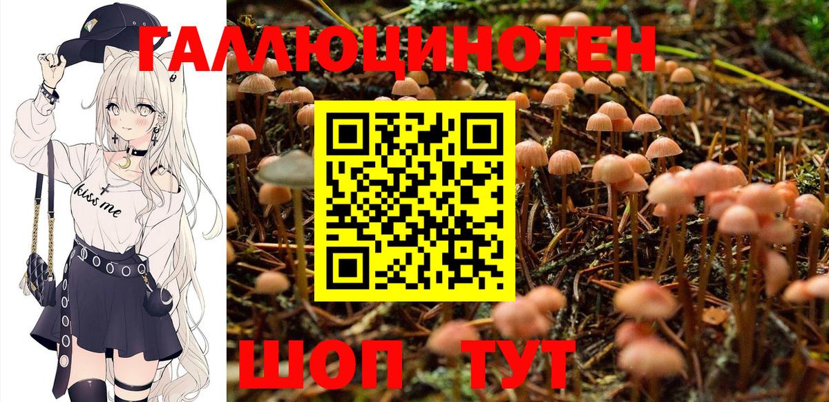 Галлюциногенные грибы GOLDEN TEACHER  Вход с VPN  Биробиджан  Галлюциногенные грибы MAGIC MUSHROOMS 