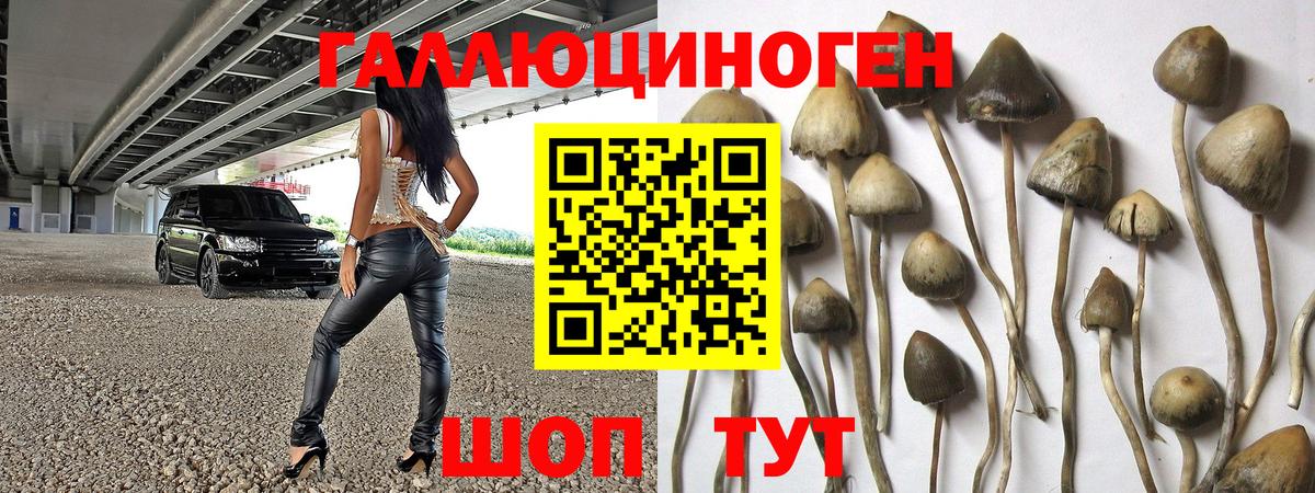 Псилоцибиновые грибы мухоморы Биробиджан